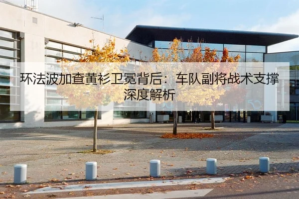 环法波加查黄衫卫冕背后：车队副将战术支撑深度解析