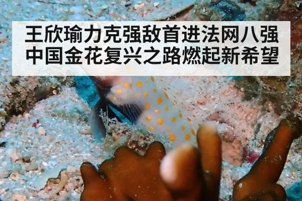 王欣瑜力克强敌首进法网八强 中国金花复兴之路燃起新希望